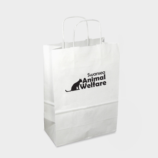 Twisted Paper Handle Carrier Bag - White