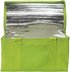 Large Fold Away Cooler Bag - Lime Green
