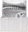Large Fold Away Cooler Bag - White