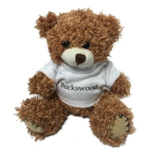 12cm Paw Teddy Bear with T-shirt - Cinnamon