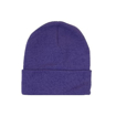 Beanie Hat - Purple